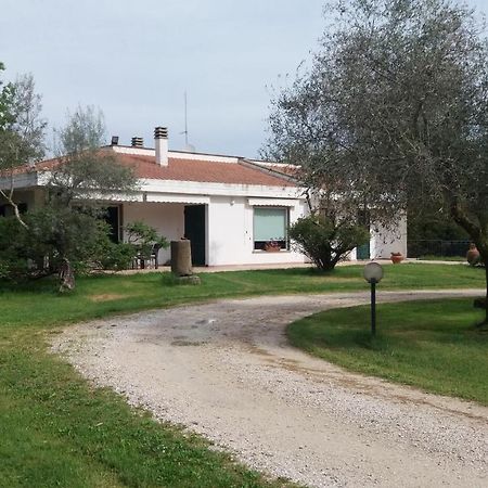 A Casa Di Asia Viterbo Zewnętrze zdjęcie