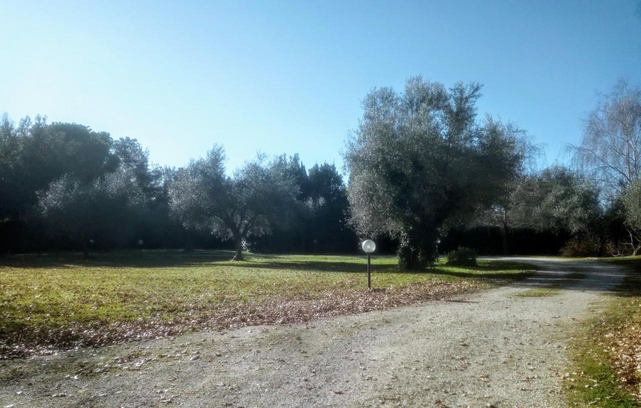 A Casa Di Asia Viterbo Zewnętrze zdjęcie