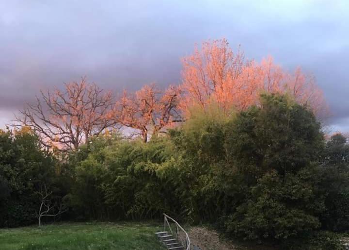 A Casa Di Asia Viterbo Zewnętrze zdjęcie